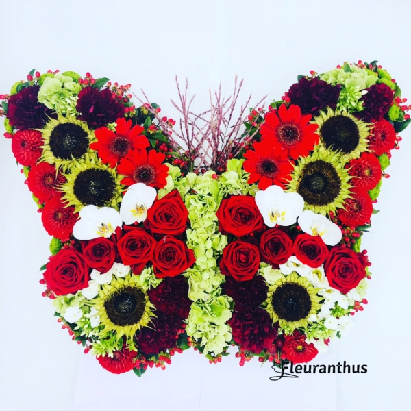 Bloemenvlinder Red Harmony