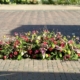 Kistbedekking Kleurrijk Gloriosa