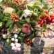 Herfstbloemen en seizoensboeketten in Boekelo