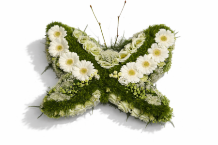 Bloemenvlinder White Memory