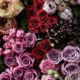 Bloemen kopen in Haaksbergen